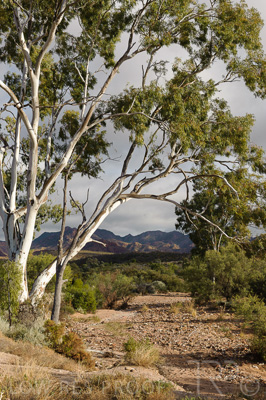 August 2022 / THINKLE_00228