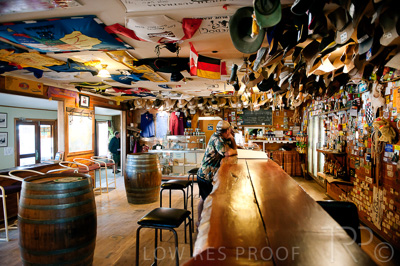 August 2022 / THINKLE_00229