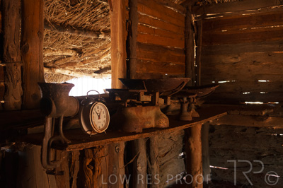 August 2022 / THINKLE_00242