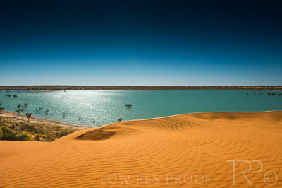 August 2022 / THINKLE_00243