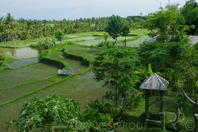 August 2022 / THINKLE_00245