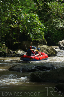 August 2022 / THINKLE_00248