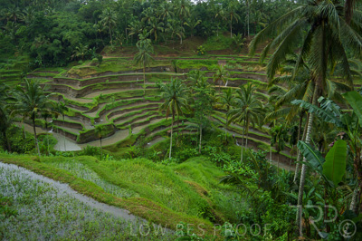 August 2022 / THINKLE_00249