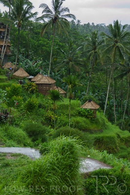 August 2022 / THINKLE_00250