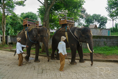 August 2022 / THINKLE_00252