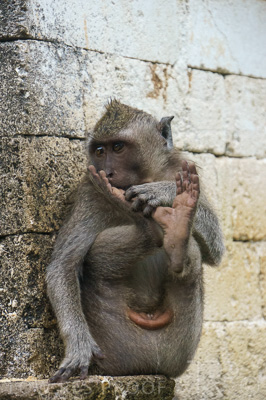 August 2022 / THINKLE_00253