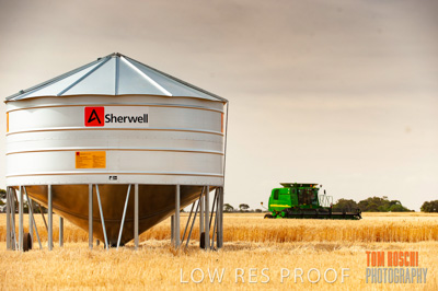 November 2009 / 20091123_SHERWELL_0018