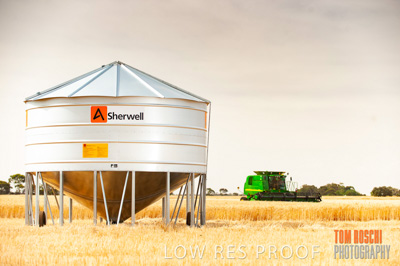 November 2009 / 20091123_SHERWELL_0019