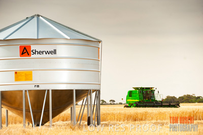 November 2009 / 20091123_SHERWELL_0020