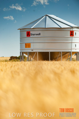 November 2009 / 20091123_SHERWELL_0026