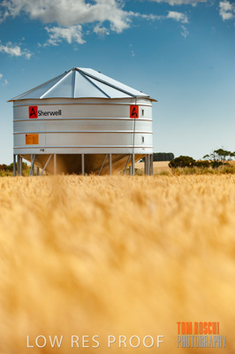 November 2009 / 20091123_SHERWELL_0028