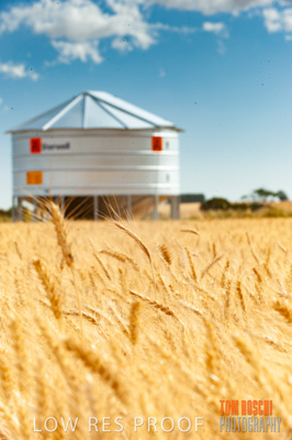 November 2009 / 20091123_SHERWELL_0029