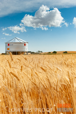 November 2009 / 20091123_SHERWELL_0031