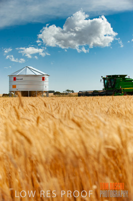 November 2009 / 20091123_SHERWELL_0037