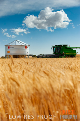 November 2009 / 20091123_SHERWELL_0046