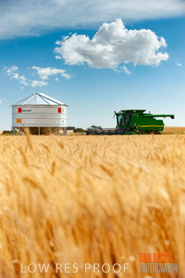 November 2009 / 20091123_SHERWELL_0048