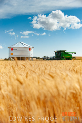 November 2009 / 20091123_SHERWELL_0055