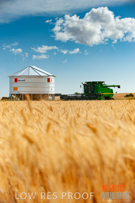 November 2009 / 20091123_SHERWELL_0059