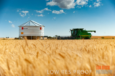 November 2009 / 20091123_SHERWELL_0062