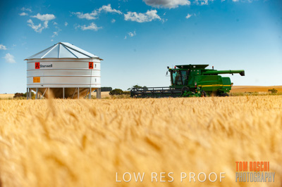 November 2009 / 20091123_SHERWELL_0064