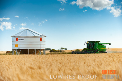 November 2009 / 20091123_SHERWELL_0078