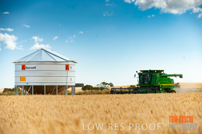 November 2009 / 20091123_SHERWELL_0108