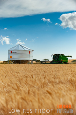 November 2009 / 20091123_SHERWELL_0118