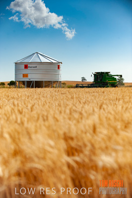 November 2009 / 20091123_SHERWELL_0126