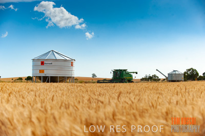 November 2009 / 20091123_SHERWELL_0133