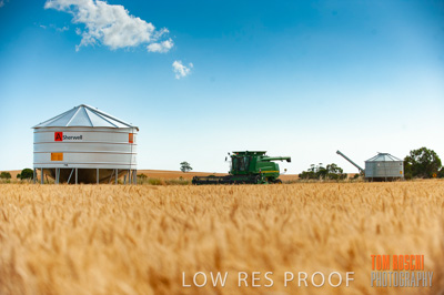 November 2009 / 20091123_SHERWELL_0135