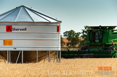 November 2009 / 20091123_SHERWELL_0138