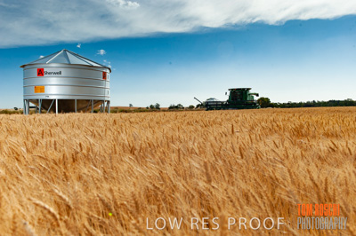 November 2009 / 20091123_SHERWELL_0145