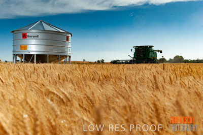 November 2009 / 20091123_SHERWELL_0149