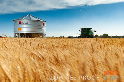 November 2009 / 20091123_SHERWELL_0152