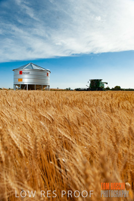 November 2009 / 20091123_SHERWELL_0155