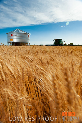 November 2009 / 20091123_SHERWELL_0157