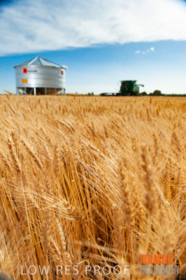 November 2009 / 20091123_SHERWELL_0158