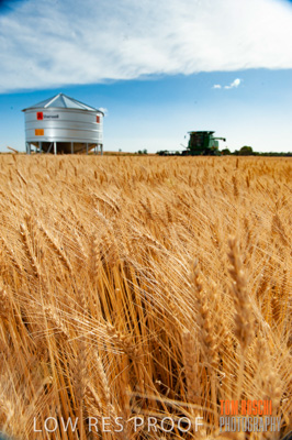 November 2009 / 20091123_SHERWELL_0159