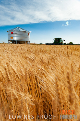 November 2009 / 20091123_SHERWELL_0162