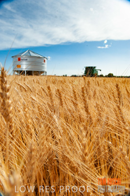 November 2009 / 20091123_SHERWELL_0165