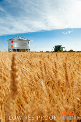 November 2009 / 20091123_SHERWELL_0167