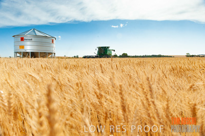 November 2009 / 20091123_SHERWELL_0169