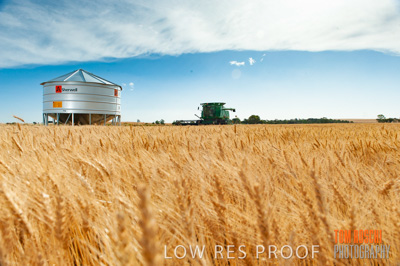 November 2009 / 20091123_SHERWELL_0171