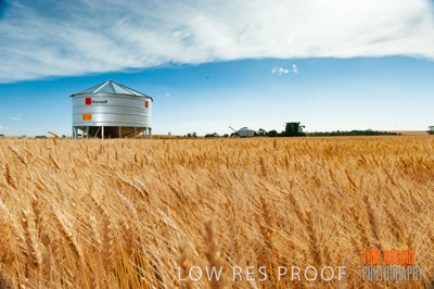 November 2009 / 20091123_SHERWELL_0175