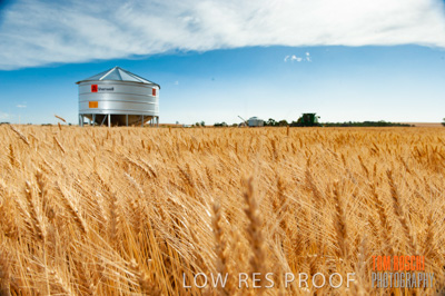 November 2009 / 20091123_SHERWELL_0177