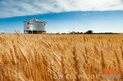 November 2009 / 20091123_SHERWELL_0178