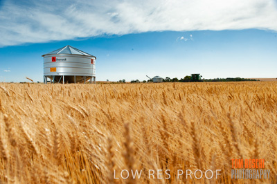 November 2009 / 20091123_SHERWELL_0179