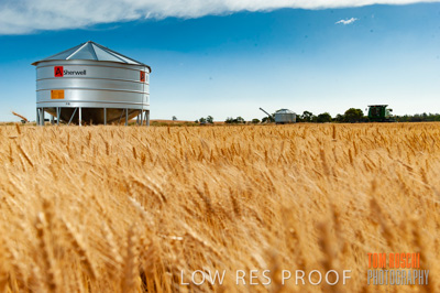 November 2009 / 20091123_SHERWELL_0182