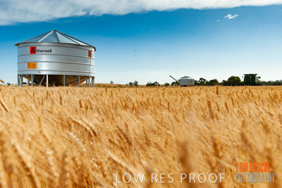 November 2009 / 20091123_SHERWELL_0184