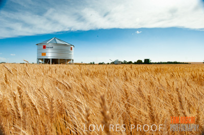 November 2009 / 20091123_SHERWELL_0185